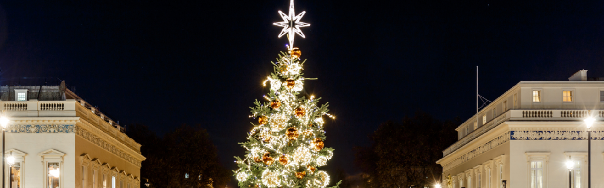 Christmas trees are expected to be more expensive this holiday season